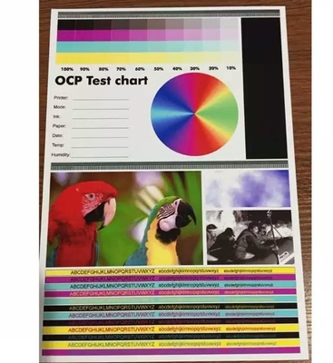 Impresión de inyección de tinta de doble cara Hoja de tarjeta de PVC para impresoras de inyección de tinta Epson y Cannon Tolerancia de tamaño /-0.5mm MIP-DS-W