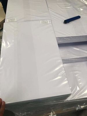 El doble blanco echó a un lado Pvc de la impresión de Digitaces cubre para la impresora del añil de HP